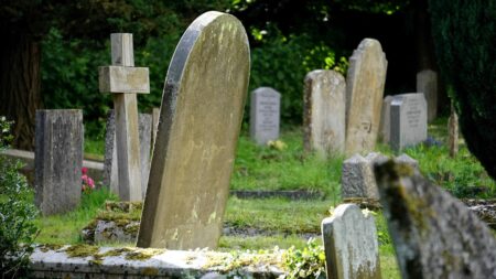 tombstones in the middle of a forest