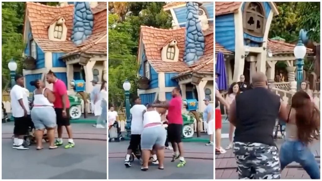 Chaotic Brawl Breaks Out in Disneyland, California