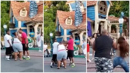 Chaotic Brawl Breaks Out in Disneyland, California