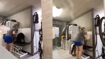 Shocking Animal Abuse Caught on Camera at Classy Critters Grooming in Mooresville: ‘The Rage That Filled My Body'