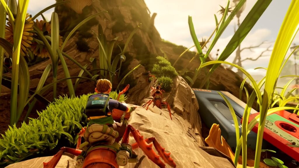 Riding bugs