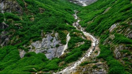 Nazi Creek in Alaska Undergoes Name Change