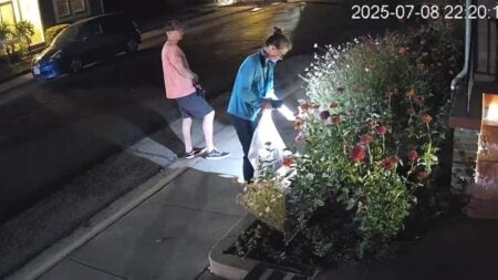 A picture of the sneaky California couple stealing flowers.