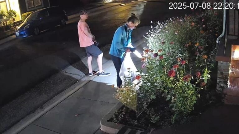 A picture of the sneaky California couple stealing flowers.
