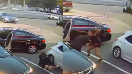 A picture of the Florida fight.