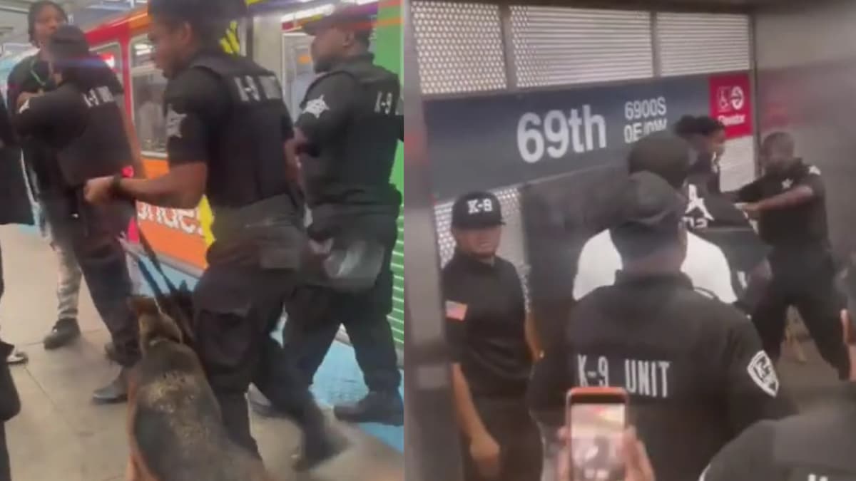 Illinois Citizens Clash with K9 Unit as Dog Gets Caught in the Chaos: ‘That Poor Dog’