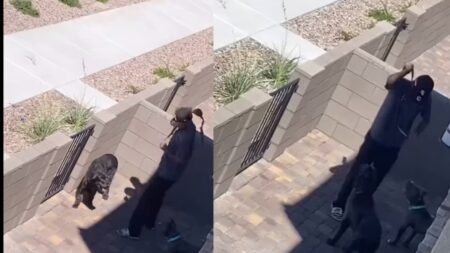 A picture of the Las Vegas man.