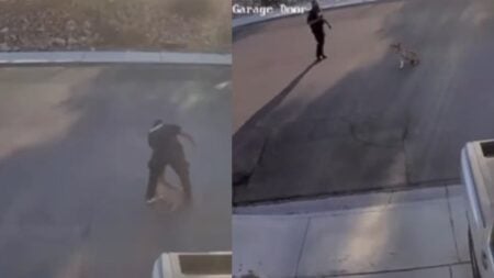 A picture of the Las Vegas security guard.