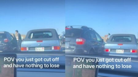 A picture of the unhinged California driver.