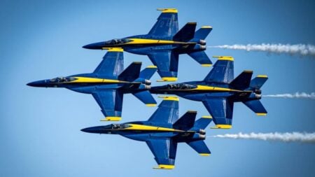 fighter jets cause cat death