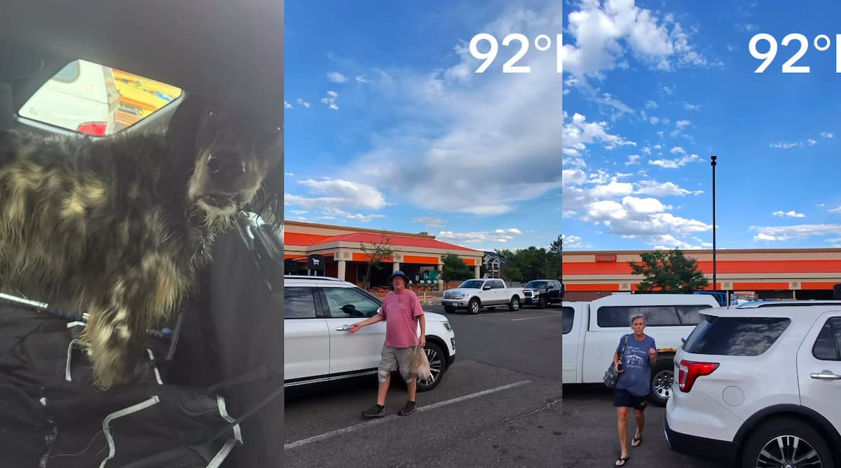 Colorado Man Confronts Couple for Animal Abuse After Dog Pants in a Hot Car for 30 Minutes: ‘Accountability is SO rare’