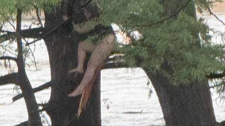 Girl Clings To Tree For Life After Being Swept Away In Deadly Texas Flood: ‘That Poor Girl’ Girl holding onto a tree