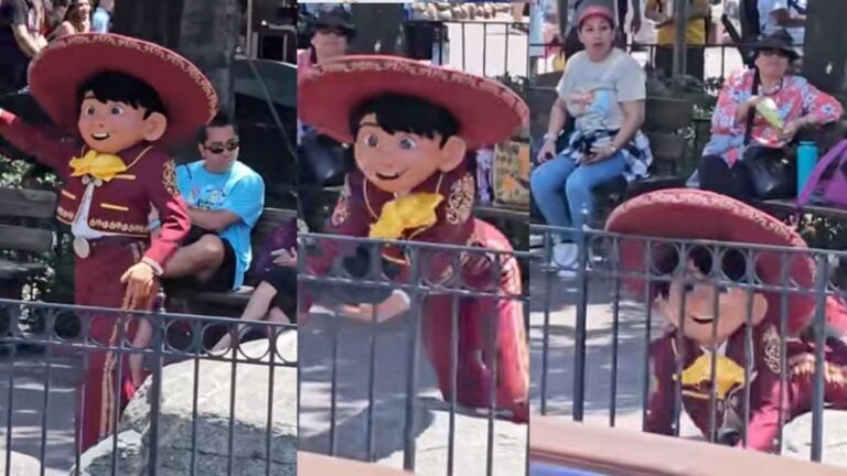Miguel Disneyland falls