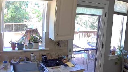 California terminates lease branches