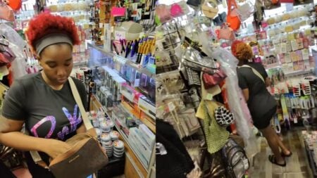 A picture of the Georgia shopper.
