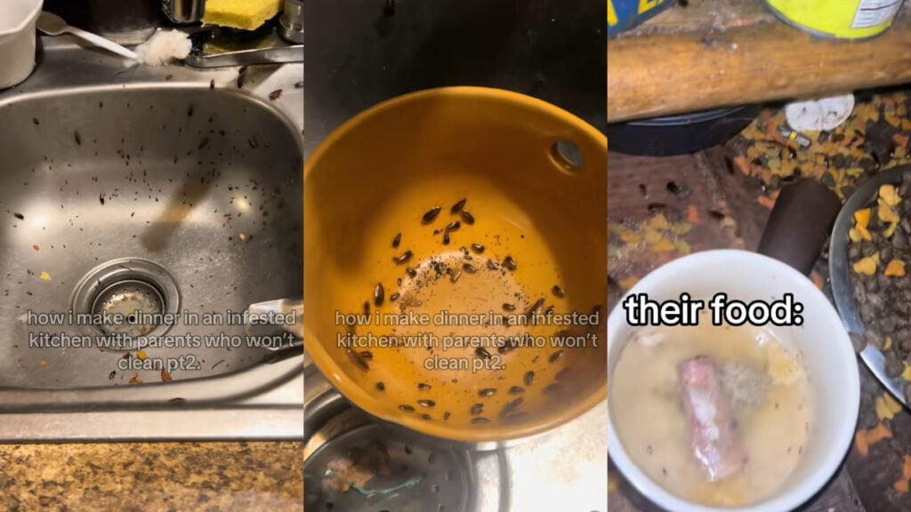 roach kitchen LA