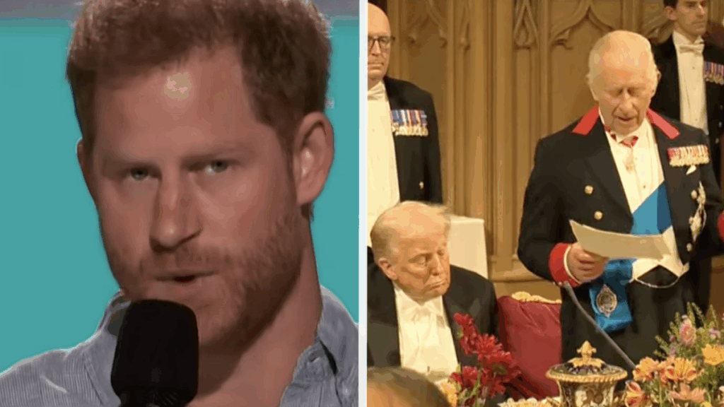 King Charles 'Respects' Prince Harry During State Banquet Speech with Donald Trump