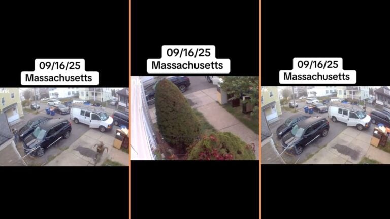 Massachusetts Neighborhood ICE Raid Caught on House Camera, ‘Mind You These People Are Just Working’ Massachusetts Neighborhood ICE Raid Caught on House Camera, 'Mind You These People Are Just Working'