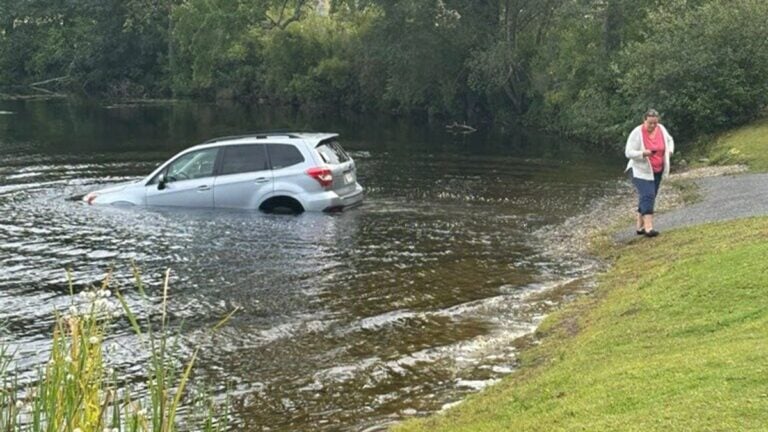 Massachusetts Woman’s Car Ends up in Lake After She Forgot To Put It in Park While Yelling at ICE: ‘Instant Car-Mah’