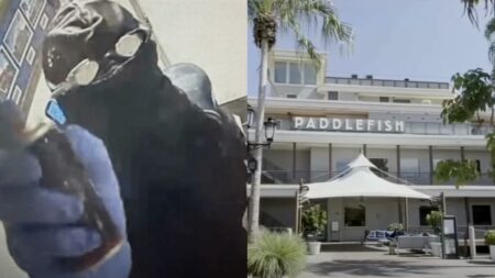 Paddlefish Robbed in Disney Springs in Florida