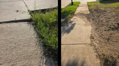 A Texas HOA Threatens Homeowner With a Fine if They Don’t Fix Their Yard Within 10 Days: ‘Plant Some Seed and Water It. It’s an Easy Fix’ Texas HOA yard fine