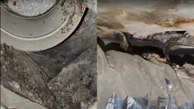 Houston Renter Making $16 an Hour Says They Paid $1,600 for Mold-Infested Apartment: ‘You Have to Move Out Immediately’