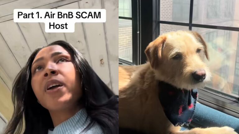 Frustrated Philadelphia Couple Denied Entry to Dog-Friendly Airbnb After Arriving With Dog: ‘I’m So Over Airbnb’ A picture of the Philadelphia girlfriend and her dog.