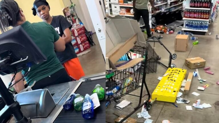 Unhinged Michigan Black Woman Destroys Dollar Tree After Claiming She Was Skipped in Line: ‘Please Tell Me She Got Arrested’ A picture of the unhinged Michigan woman.
