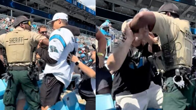 Fan at Carolina Panthers game arrested