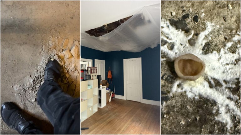 New York Slumlord from Hell Floods Tenant’s Room, Causes Mushrooms in Basement After Botched Washer Setup: ‘Your Ceiling’s Now a Splash Zone’ New York landlord's washer damage casues mushrooms & flood for tenant