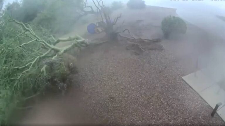 Mini Storm in Arizona Uproots All Trees in the Area and Leaves Zero Visibility for a While: ‘It hit Tempe like a shockwave’ Arizona Tempe storm
