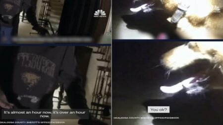 Florida Body Cam Footage Shows Dog Leading Deputy to Missing Woman