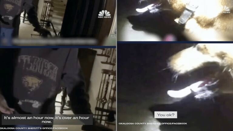 Florida Body Cam Footage Shows Dog Leading Deputy to Missing Woman