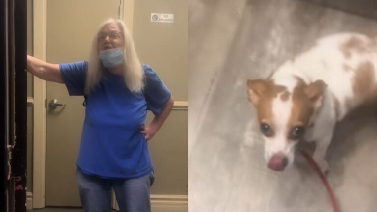 Kentucky Man Gets Help From Neighbors During Elevator Dog Dispute: ‘Dogs Can Sense Evil’ Kentucky Karen hates on cute dog