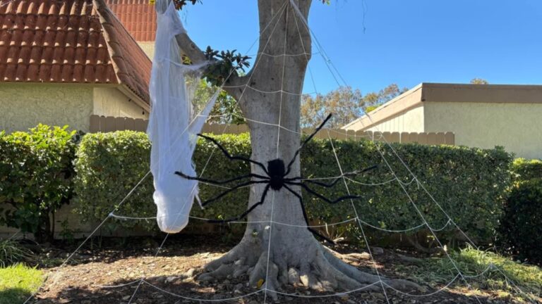 California HOA Karen Sends a Cease and Desist to Neighbors Because of Their Decorations, ‘Dress Up As Her for Halloween’ Karen HOA California drama