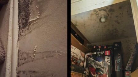 Worried Tenant in New York Has To Wait After the Holidays for Management To Fix Mold: ‘That didn’t happen in a few days’ New York Mold holidays