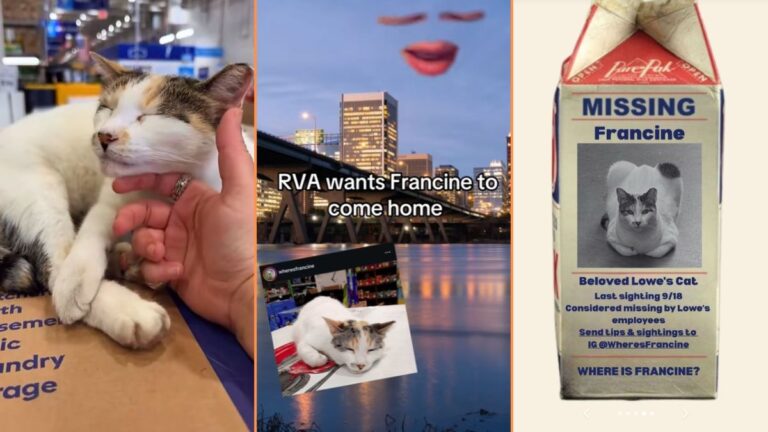 Richmond Locals Still on the Search for Beloved Lowe’s Cat: ‘I’m so Stressed for Francine’ Richmond Locals Still on the Search for Local Lowe's Cat 'I'm so Stressed for Francine'