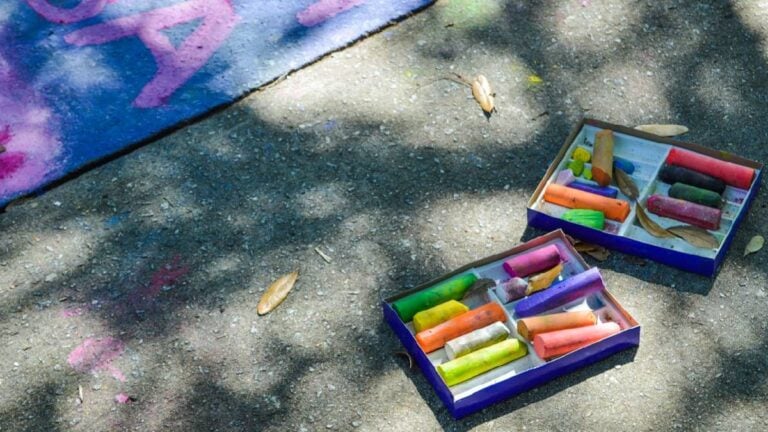 HOA in Utah Shows That They Hate Children by Stealing Their Fun: ‘Collect a minimum of six ounces of freshly shed tears from your children’ Utha HOA child