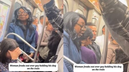 Tense Scene on New York Train as Passenger Explodes Over Dog Being Onboard: ‘The Racism Is Out of Control’ A picture of the New York woman.