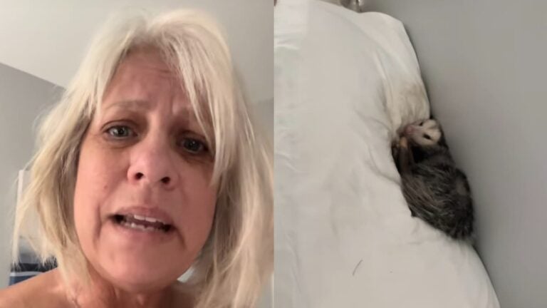 Ohio Woman’s Dog Proudly Brings Opossum to Her Bed And Left Her Horrified: ‘I’ve Slept in Bed With a Lot Worse’ A picture of the Ohio woman.