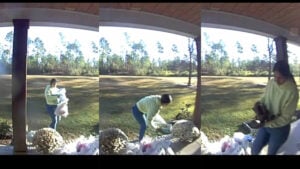 Alabama Walmart Delivery Driver Steals Toddler Boots