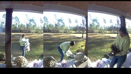 Alabama Mom Shares Footage of Walmart Delivery Driver Allegedly Stealing Her Toddler’s New Cowboy Boots from Her Front Porch: ‘This Is the Saddest Thing I’ve Watched’ Alabama Walmart Delivery Driver Steals Toddler Boots