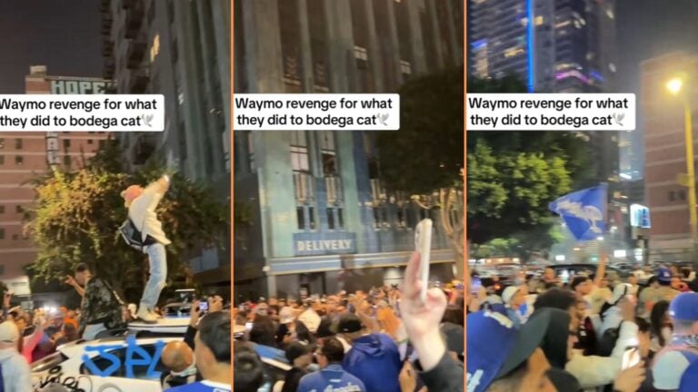 Californians Vandalize Waymo Car After Beloved Bodega Cat's Death 'Because if it Won't Stop for a Cat Why Should We Trust it With Children'