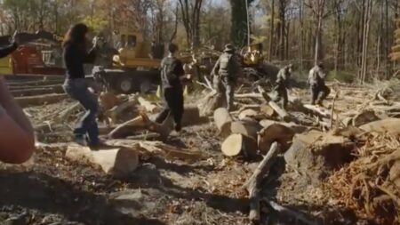 ICE Agents Chase Charlotte Business Owner Into the Woods As Locals Follow, “ICE Is Causing More Terror and Hardships Than a Flower Shop Owner Ever Did” Charlotte locals chase ICE agents