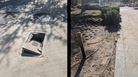 Dallas Texas Panda Fest