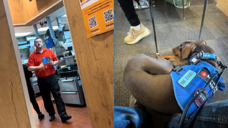 Ignorant McDonald’s Owner Discriminates Against Woman With Friendly Service Dog in Texas, ‘There is no legally required “papers” for service dogs!’ Ignorant McDonald's Owner Discriminates Against Woman With Friendly Service Dog in Texas