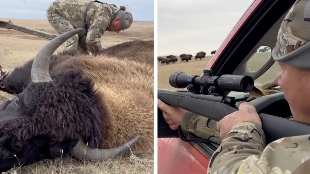 Montana Native American Tribes Hunt Restored Buffalo To Survive After Government Shutdown Reduced Food Aid: ‘The Donald Trump Effect’ Montana Native American Tribes Hunt Restored Buffalo To Survive After Government Shutdown