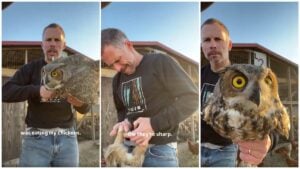 Texas farmer with owl