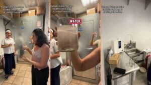 Unhinged Sedona Woman Gets 'Living Water' Machine in Chocolate Cafe 'Oh. I Thought This Was Satire'