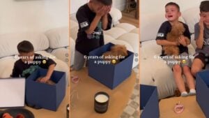 Wholesome California Boy Bursts into Tears of Joy After Getting Surprise Puppy 'The Older Bro With Tears Too… So Precious'